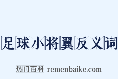 足球小将翼反义词是什么意思的图片